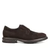 Fluchos BELGAS F0631 Brown Shoe- Formal Shoes