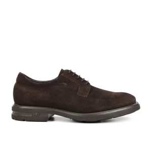 Fluchos BELGAS F0631 Brown Shoe- Formal Shoes