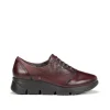 Fluchos BONA F1357 Burgundy Shoe-Women Women