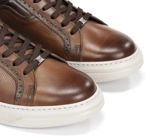 Fluchos BOSTON F2044 Brown Sneaker- Sneakers