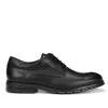 Fluchos CHESTER F2046 Black Shoe- Formal Shoes