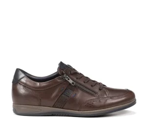 Fluchos DANIEL F1280 Brown Shoe- Sneakers