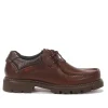 Fluchos DOUGLAS F1323 Brown Shoe- Formal Shoes