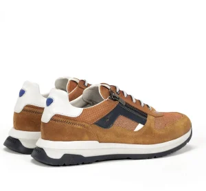 Fluchos ENZO F1770 Brown Sneakers- Men