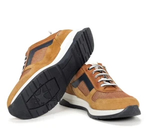 Fluchos ENZO F1770 Brown Sneakers- Men