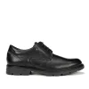 Fluchos FREDY F1604 Black Shoe- Formal Shoes