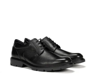 Fluchos FREDY F1604 Black Shoe- Formal Shoes