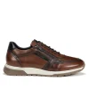 Fluchos LOUIS F1600 Brown Sneakers- Lace-Up Shoes | Sneakers