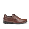 Fluchos LUCA 8498 Brown Shoe- Formal Shoes