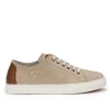 Fluchos NIKO F1415 Taupe Sneaker- Men