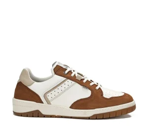 Fluchos ROGER F1954 Brown Sneaker- Men