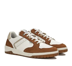 Fluchos ROGER F1954 Brown Sneaker- Men