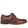 Fluchos THEO F1629 Brown Shoe- Formal Shoes