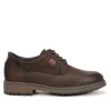 Fluchos TRUMAN F1589 Brown Shoe- Formal Shoes