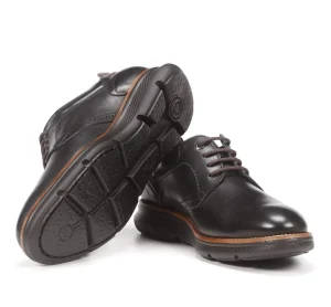 Fluchos WILLIAM F1351 Black Shoe- Formal Shoes | Lace-Up Shoes